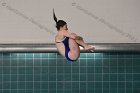 Diving vs Babson  Wheaton College Diving vs Babson College. - Photo By: KEITH NORDSTROM : Wheaton, Diving